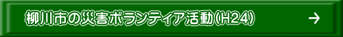 s̍ЊQ{eBA(H24)