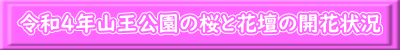 2016年の活動