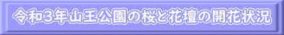 2016年の活動