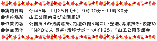 ●実施日時　　令和5年11月25日（土）　9時00分～11時30分 ●実施場所　　山王公園内及び公園周辺 ●作業内容　　公園周りの側溝清掃、花壇の掘り起こし・整地、落葉掃き・袋詰め ●参加団体　　 「ＮＰＯ法人 災害・環境サポートメイト２５」 「山王公園愛護会」