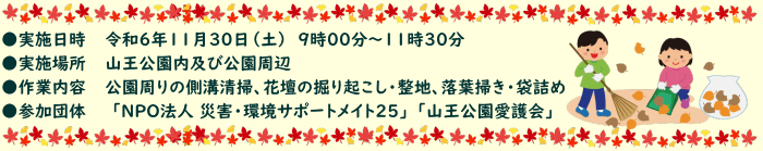 ●実施日時 令和6年11月30日(土) 9時00分~11時30分 ●実施場所 山王公園内及び公園周辺 ●作業内容 公園周りの側溝清掃、花壇の掘り起こし・整地、落葉掃き・袋詰め ●参加団体 「NPO法人 災害・環境サポートメイト25」 「山王公園愛護会」