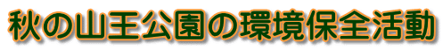 秋の山王公園の環境保全活動