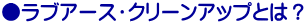 ●ラブアース・クリーンアップとは？