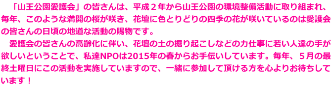 　「山王公園愛護会」の皆さんは、平成２年から山王公園の環境整備活動に取り組まれ、 毎年、このような満開の桜が咲き、花壇に色とりどりの四季の花が咲いているのは愛護会 の皆さんの日頃の地道な活動の賜物です。 　愛護会の皆さんの高齢化に伴い、花壇の土の掘り起こしなどの力仕事に若い人達の手が 欲しいということで、私達NPOは2015年の春からお手伝いしています。毎年、５月の最 終土曜日にこの活動を実施していますので、一緒に参加して頂ける方を心よりお待ちして います！