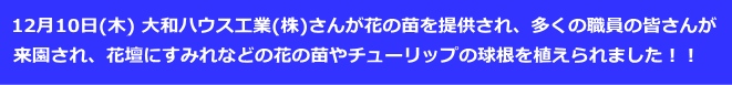 12月10日(木) 大和ハウス工業(株)さんが花の苗を提供され、多くの職員の皆さんが 来園され、花壇にすみれなどの花の苗やチューリップの球根を植えられました！！ 