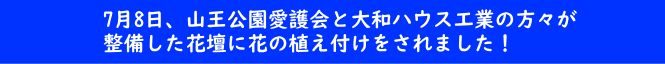 後日、整備した花壇に花を植え付けました！