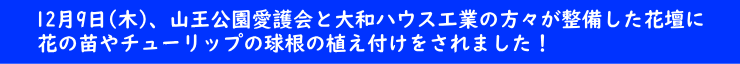 後日、整備した花壇に花を植え付けました！