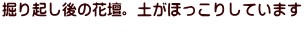 掘り起し後の花壇。土がほっこりしています 　　