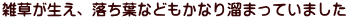 雑草が生え、落ち葉などもかなり溜まっていました