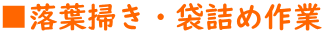 ■落葉掃き・袋詰め作業