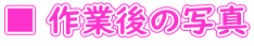 ■ 作業後の写真
