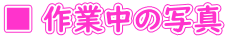 ■ 作業中の写真