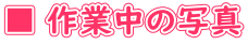 ■ 作業中の写真