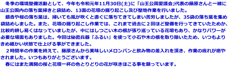 　冬季の環境整備活動として、今年も令和元年11月30日(土)に「山王公園愛護会｣代表の藤原さんと一緒に 山王公園内の落ち葉掃きと袋詰め、13面の花壇の掘り起こし及び整地作業を行いました。 　銀杏や桜の落ち葉は、掃いても風が吹くと直ぐに落ちてきてしまい苦労しましたが、35袋の落ち葉を集め 袋詰めしました。また、花壇の掘り起こし作業では、これまで過去に２回ほど整備を行ってきていたためか、 比較的耕し易くはなっていましたが、中にはしつこい木の根が張り巡っている花壇もあり、かなりパワーが 必要な場面もありました。今回は秘密兵器「ふるい」を使って小石や木の根を取り除いたため、いつもより きめ細かい状態で仕上げる事ができました。 　２時間半の作業を終えて、藤原さんから美味しいメロンパンと飲み物の差入れを頂き、作業の疲れが癒や されました。いつもありがとうございます。 　春にはまた満開の桜と花壇一杯の色とりどりの花が咲きほこる事を願っています。