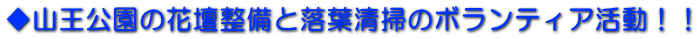 ◆山王公園の花壇整備と落葉清掃のボランティア活動！！