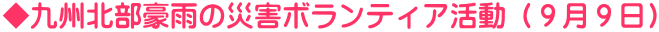 BkJ̍ЊQ{eBAiXXj