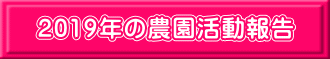 2019年の農園活動報告