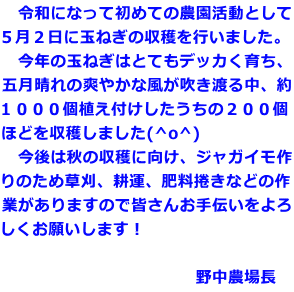 　令和になって初めての農園活動として ５月２日に玉ねぎの収穫を行いました。 　今年の玉ねぎはとてもデッカく育ち、 五月晴れの爽やかな風が吹き渡る中、約 １０００個植え付けしたうちの２００個 ほどを収穫しました(^o^) 　今後は秋の収穫に向け、ジャガイモ作 りのため草刈、耕運、肥料捲きなどの作 業がありますので皆さんお手伝いをよろ しくお願いします！  　　　　　　　　　　　　野中農場長
