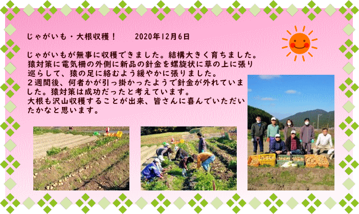 玉葱収穫！　　2020年5月4日・5日  今年の玉葱は、植え付けから草取り、追肥2回、土寄せそしてまた草取りを 3回ほど行いました。植え付け、追肥の後に、ほどよく雨が降るなど気象を 見る目が良かったのか、とても順調でした。地元農家の方からも「立派な 玉葱だ。自分のとこは小さかった。」とお褒め頂きました。