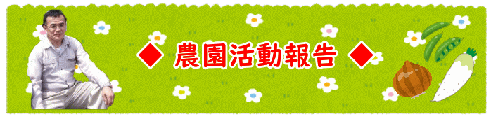 ◆ 農園活動報告 ◆