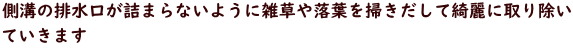 公園内の歩道だけでなく、花壇の中にも落葉がたくさん溜まっています