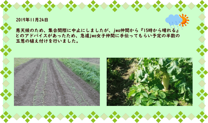 2019年11月24日  